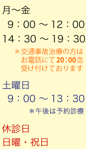 月~金 9:00~12:00/14:30 ~19:30 土 9:00 ~13:30 休診日 日曜・祝日
